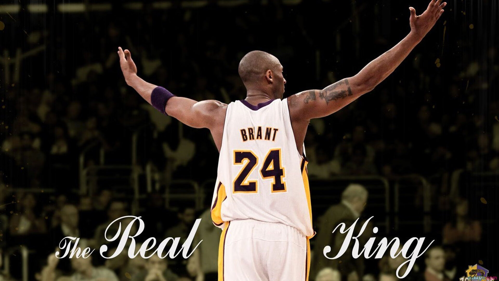 开云APP-绝杀与接管,从广东到NBA,关键时刻的决胜者 第2张 开云APP-绝杀与接管,从广东到NBA,关键时刻的决胜者 第2张