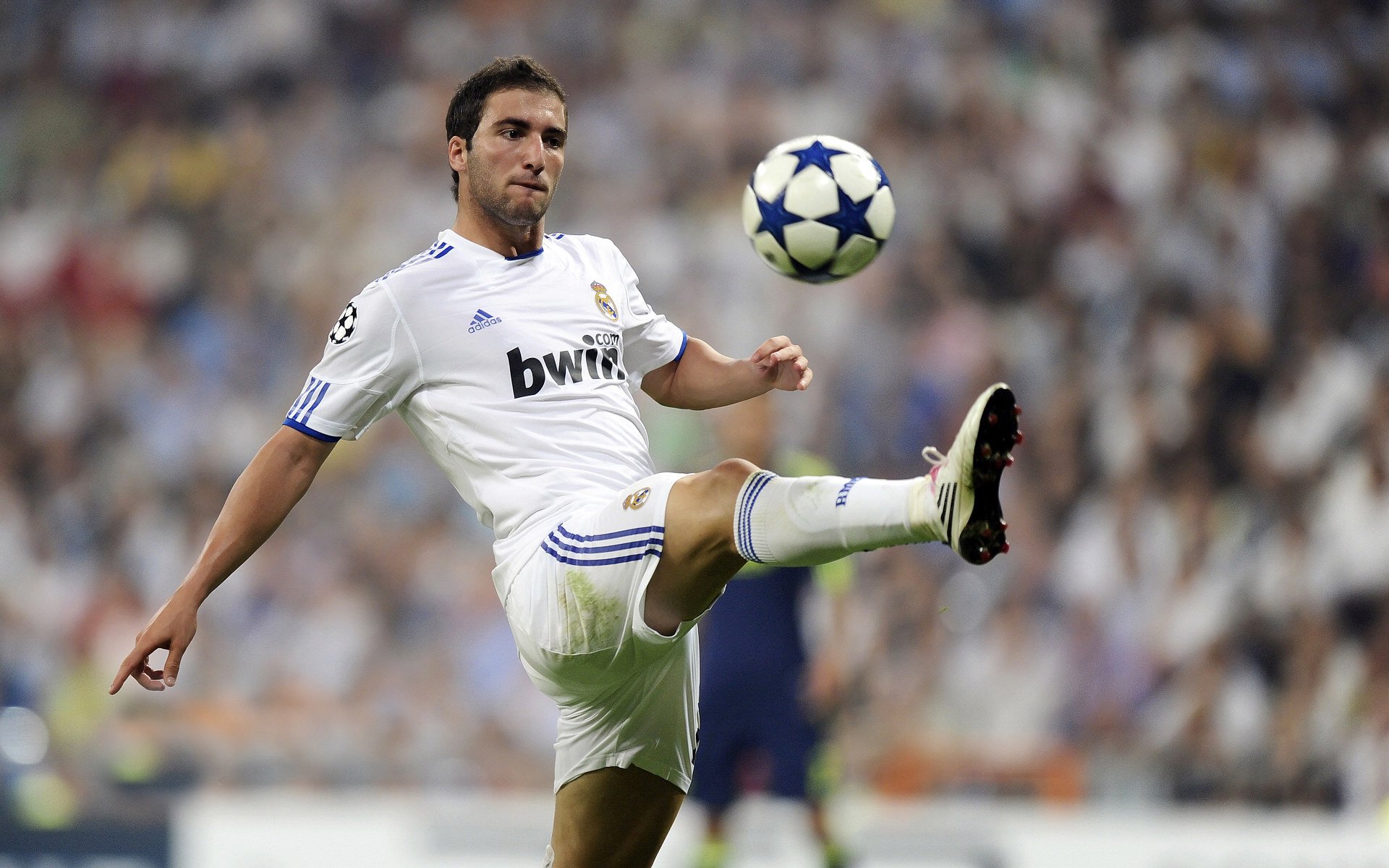 开云体育下载-阿什拉夫一剑封喉,勒沃库森童话在丹麦提前终结 第2张 开云体育下载-阿什拉夫一剑封喉,勒沃库森童话在丹麦提前终结 第2张